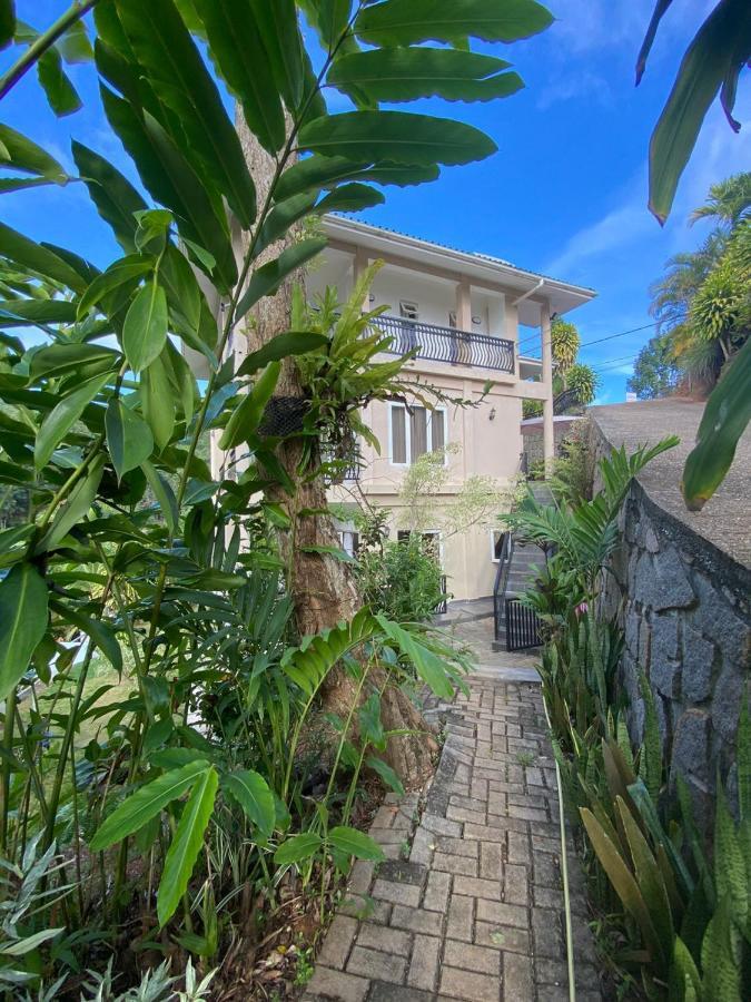 South Hill Villa Anse Royale Εξωτερικό φωτογραφία